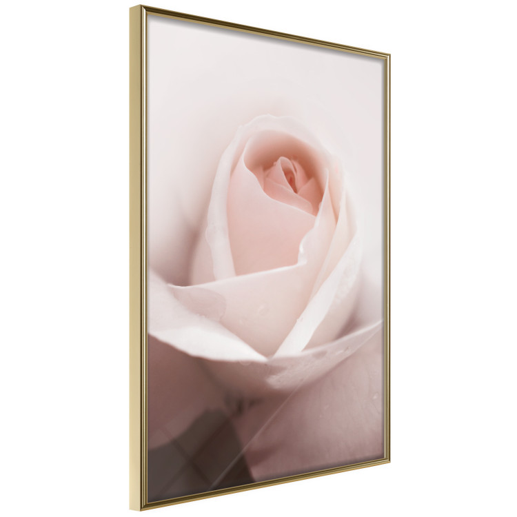 Wall Poster Level of Feelings - spring rose flower with subtly pink petals 126679 additionalImage 10