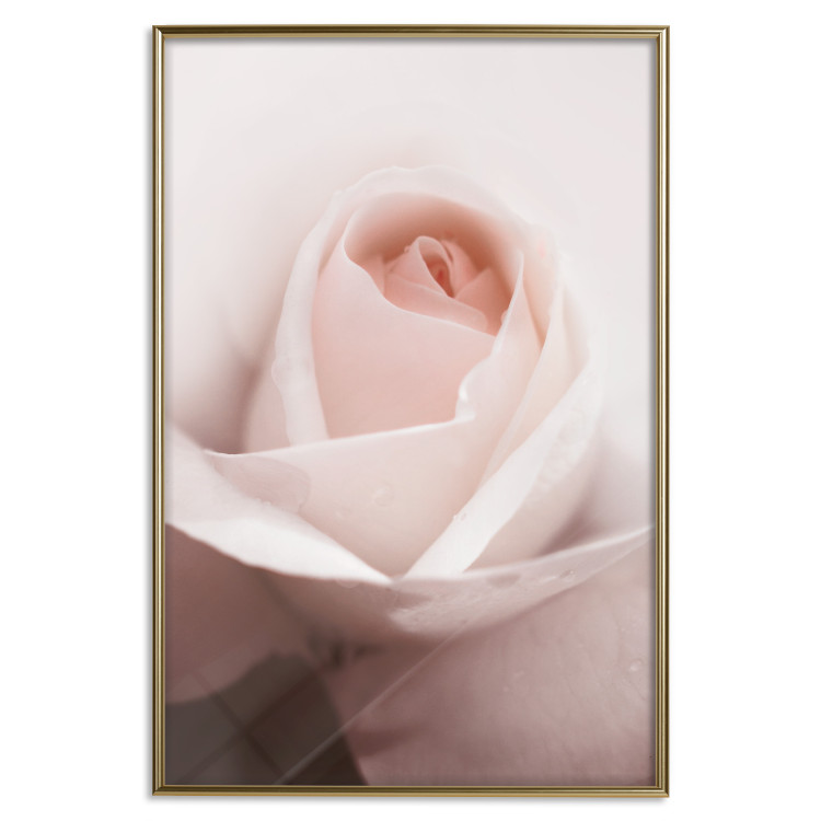 Wall Poster Level of Feelings - spring rose flower with subtly pink petals 126679 additionalImage 17