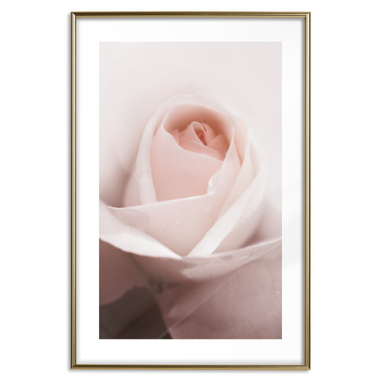 Wall Poster Level of Feelings - spring rose flower with subtly pink petals 126679 additionalImage 14