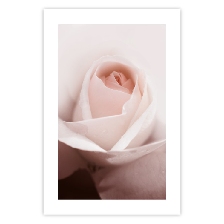 Wall Poster Level of Feelings - spring rose flower with subtly pink petals 126679 additionalImage 19