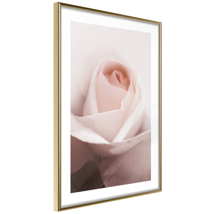 Wall Poster Level of Feelings - spring rose flower with subtly pink petals 126679 additionalImage 6