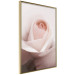 Wall Poster Level of Feelings - spring rose flower with subtly pink petals 126679 additionalThumb 10