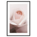 Wall Poster Level of Feelings - spring rose flower with subtly pink petals 126679 additionalThumb 15