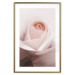 Wall Poster Level of Feelings - spring rose flower with subtly pink petals 126679 additionalThumb 14