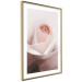 Wall Poster Level of Feelings - spring rose flower with subtly pink petals 126679 additionalThumb 6