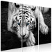Canvas Calm tiger - triptych with a lying tiger with blue eyes 128779 additionalThumb 2