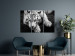 Canvas Calm tiger - triptych with a lying tiger with blue eyes 128779 additionalThumb 3