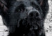 Canvas Businessman Dog (1 Part) Vertical 130779 additionalThumb 5