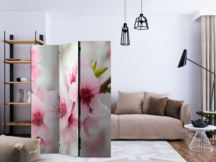 Folding Screen Pink Cherry Blossoms (3-piece) - floral composition 132779 additionalImage 4