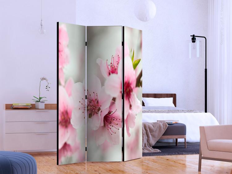 Folding Screen Pink Cherry Blossoms (3-piece) - floral composition 132779 additionalImage 2