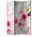 Folding Screen Pink Cherry Blossoms (3-piece) - floral composition 132779