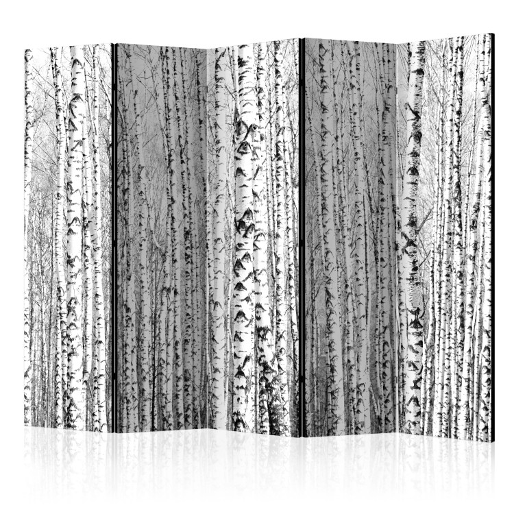 Room Separator Birch Forest II (5-piece) - black and white composition full of trees 133179