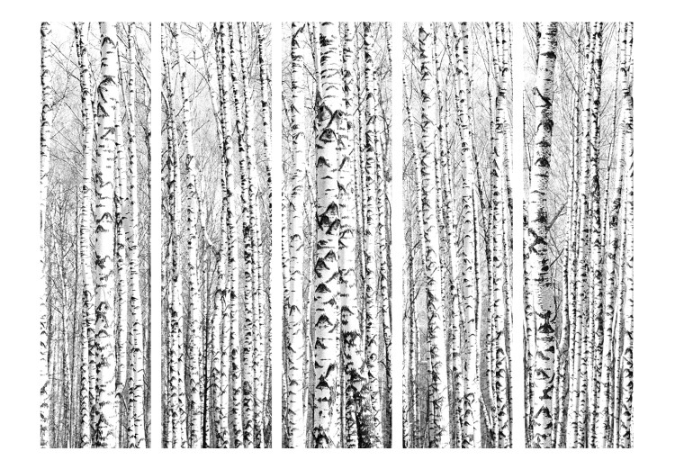 Room Separator Birch Forest II (5-piece) - black and white composition full of trees 133179 additionalImage 3