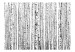 Room Separator Birch Forest II (5-piece) - black and white composition full of trees 133179 additionalThumb 3