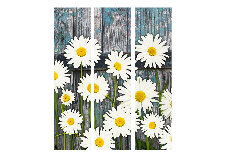 Room Divider Screen Return to Innocence - composition of white daisies on a wooden plank background 133879 additionalImage 3