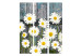 Room Divider Screen Return to Innocence - composition of white daisies on a wooden plank background 133879 additionalThumb 3
