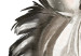 Canvas Drawing, Joyful Zebra - A watercolor stylized composition 136379 additionalThumb 4