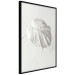 Wall Poster Bright Monstera - all-white composition with a leaf of a tropical plant 137279 additionalThumb 24