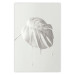 Wall Poster Bright Monstera - all-white composition with a leaf of a tropical plant 137279