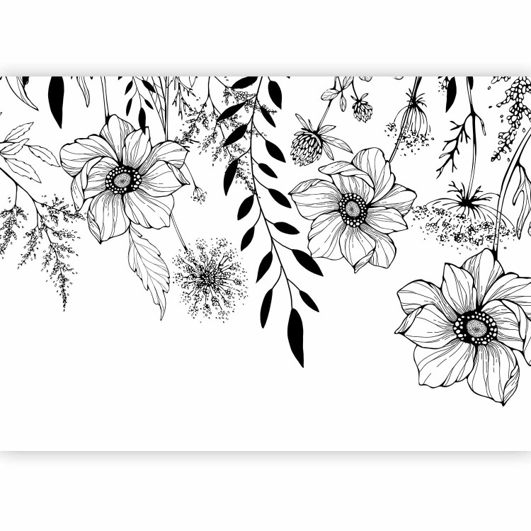 Photo Wallpaper Graphic meadow - lineart style field flower motif on white background 143079 additionalImage 5