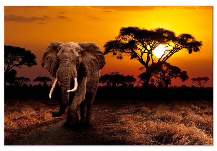 Canvas Print African Trek (1-piece) Wide - first variant - elephant 143679