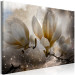 Canvas Print Sepia Magnolia (1-piece) - blooming tree amidst starlight 144779 additionalThumb 2