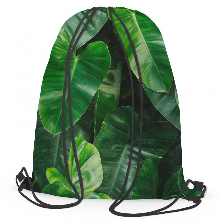 Backpack Faces of greenery - a plant composition with rich Philodendron detailing 147579