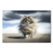 Canvas Art Print AI Maine Coon Cat - Strutting Animal With Flowing Hair - Horizontal 150179 additionalThumb 7