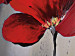 Canvas Print Red Poppies (3-piece) - plant motif with a cloudy gray background 47479 additionalThumb 3