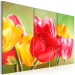 Canvas Tulips in Bloom Again (3-piece) - Colourful flowers on a green background 48679 additionalThumb 2