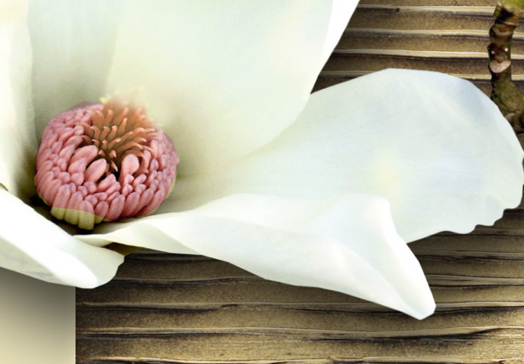 Canvas Print Texture and magnolia 55679 additionalImage 4