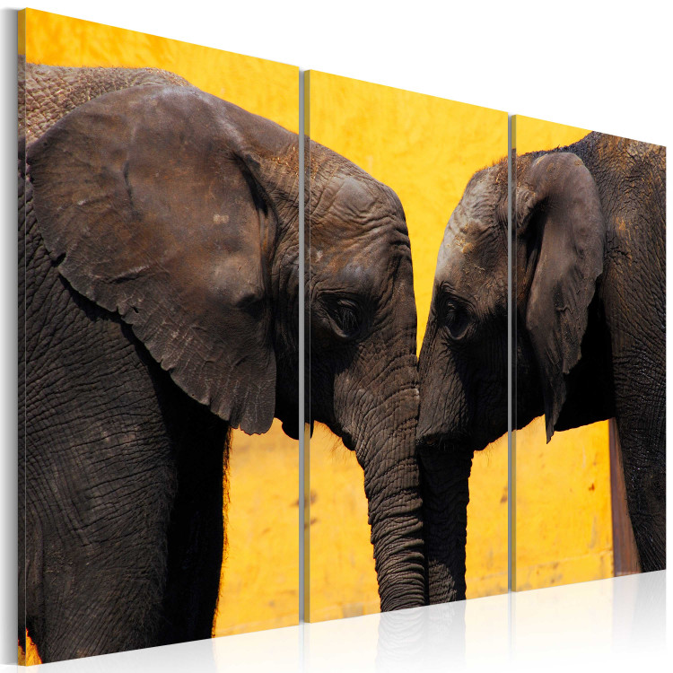 Canvas Art Print Elephant kiss 58679 additionalImage 2