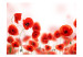 Photo Wallpaper Poppies - Modern Abstraction of Red Poppies on a Contrasting Background 60379 additionalThumb 1