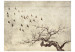 Photo Wallpaper Flock of birds 61279 additionalThumb 1