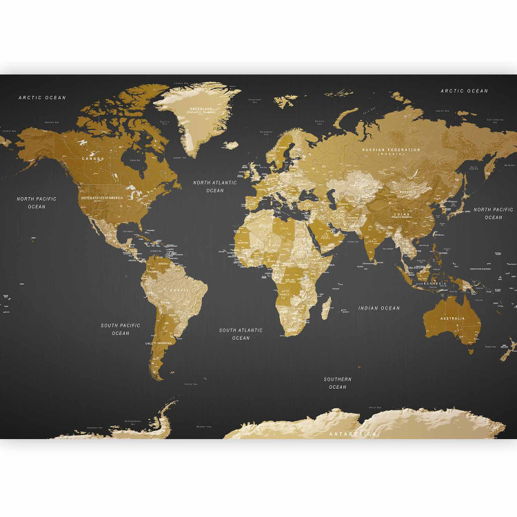 Wall Mural World Map: Modern Geography 94379 additionalImage 1