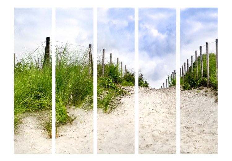 Room Divider Screen Path by the Sea II - sand and green grass landscape against the sky 107589 additionalImage 3
