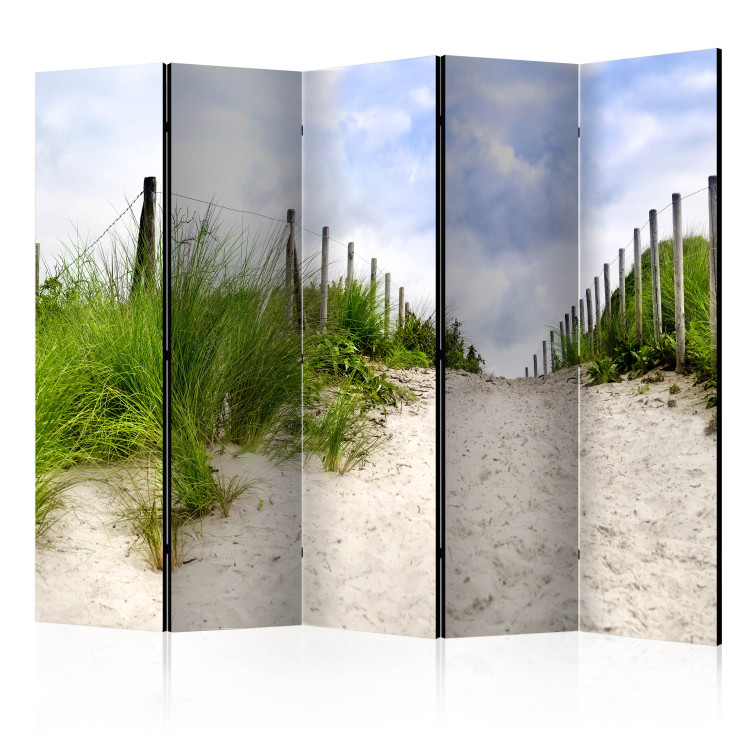 Room Divider Screen Path by the Sea II - sand and green grass landscape against the sky 107589