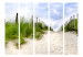 Room Divider Screen Path by the Sea II - sand and green grass landscape against the sky 107589 additionalThumb 3