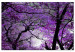 Canvas Purple Afternoon (1 Part) Wide 114189