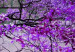 Canvas Purple Afternoon (1 Part) Wide 114189 additionalThumb 5