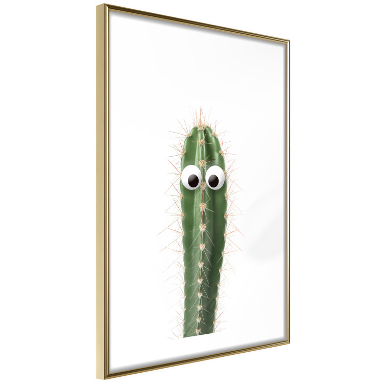 Poster Living Cactus - funny green prickly plant with eyes on a white background 116889 additionalImage 6