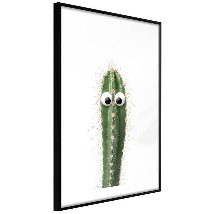 Poster Living Cactus - funny green prickly plant with eyes on a white background 116889 additionalImage 11