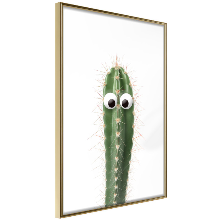Poster Living Cactus - funny green prickly plant with eyes on a white background 116889 additionalImage 12