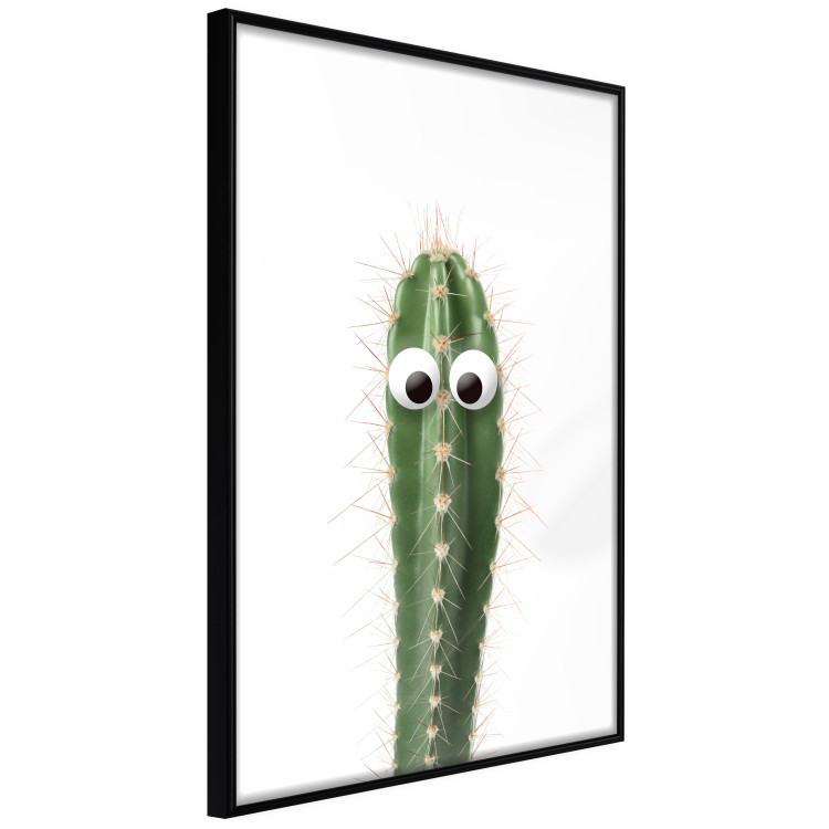 Poster Living Cactus - funny green prickly plant with eyes on a white background 116889 additionalImage 10