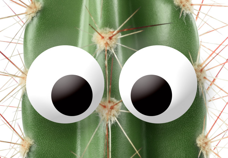 Poster Living Cactus - funny green prickly plant with eyes on a white background 116889 additionalImage 9