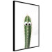 Poster Living Cactus - funny green prickly plant with eyes on a white background 116889 additionalThumb 10