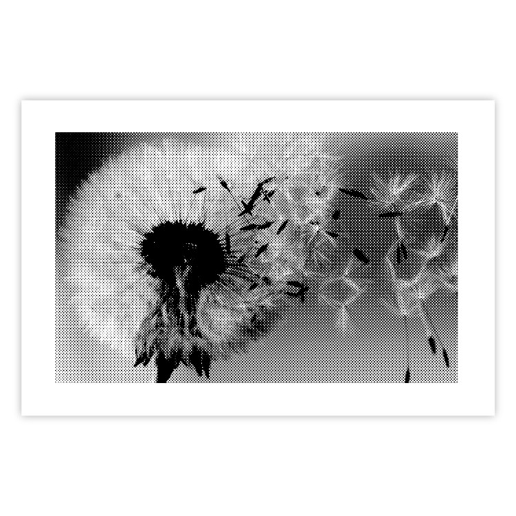Wall Poster Fleeing Memory - black and white composition with scattered dandelions 118289 additionalImage 18