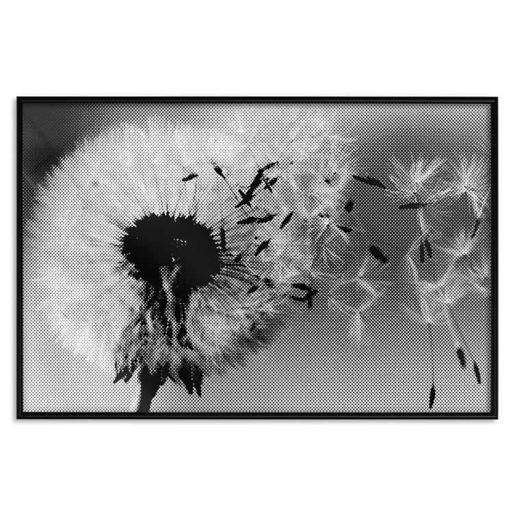 Wall Poster Fleeing Memory - black and white composition with scattered dandelions 118289 additionalImage 15
