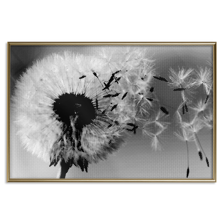 Wall Poster Fleeing Memory - black and white composition with scattered dandelions 118289 additionalImage 14