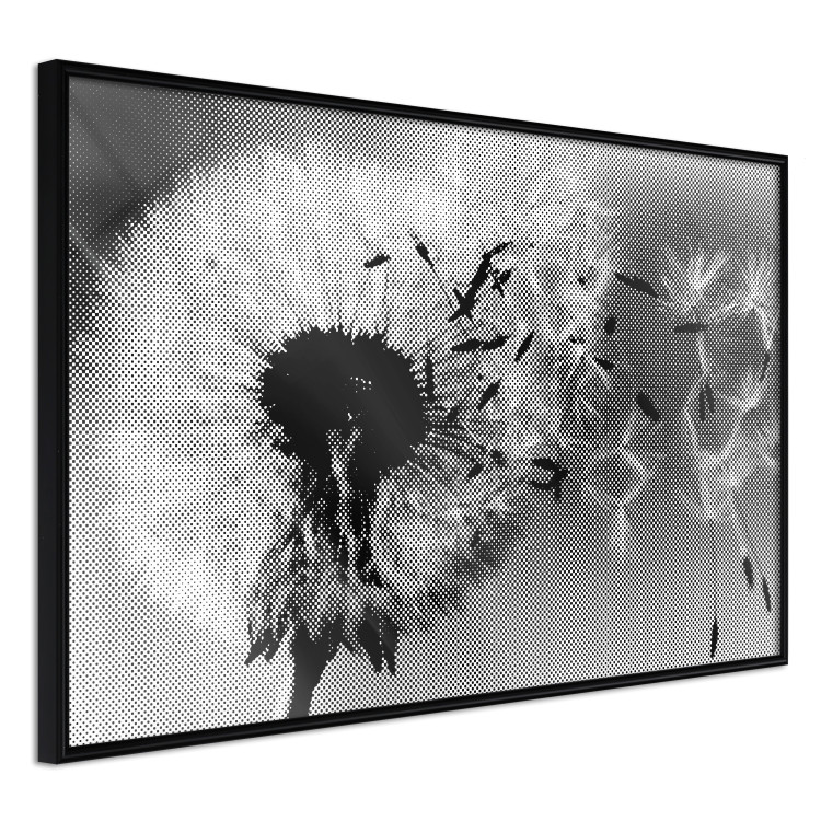 Wall Poster Fleeing Memory - black and white composition with scattered dandelions 118289 additionalImage 10